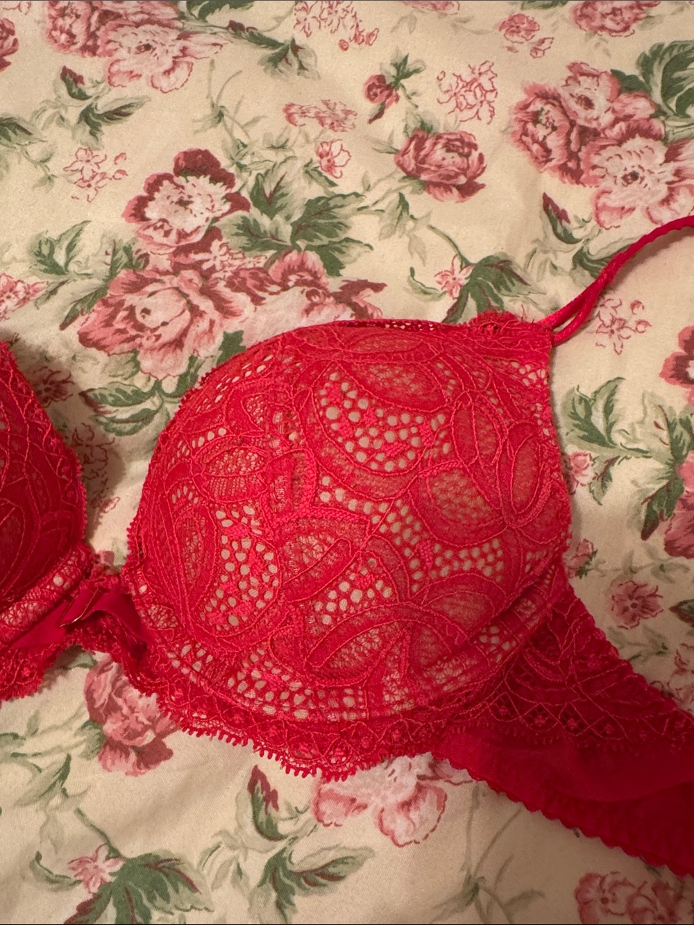 Victoria's Secret Red Lace Push-Up Bra